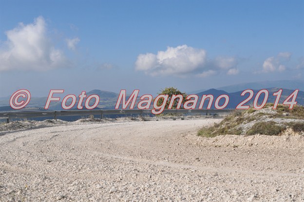 DSC_1696.JPG
